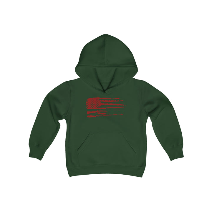 Youth 2A Flag Hoodie